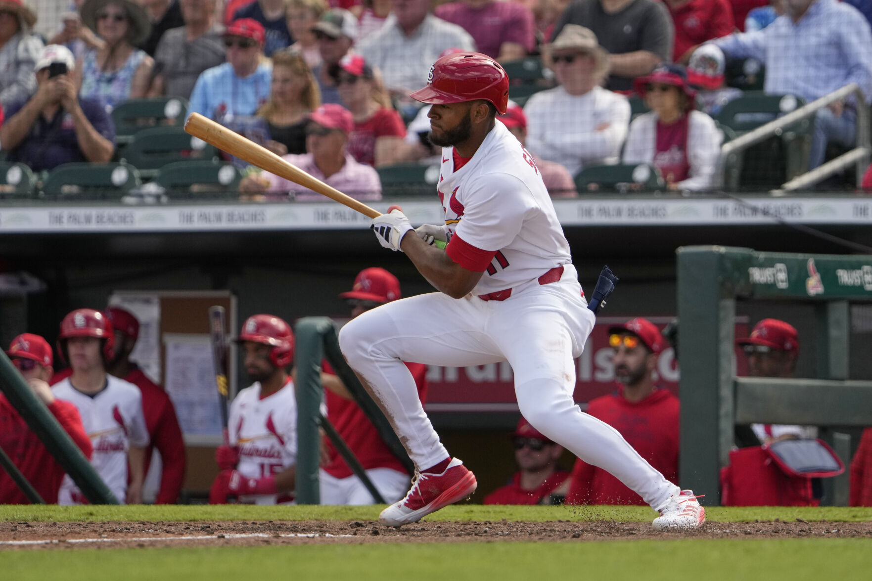Astros Cardinals Spring Baseball